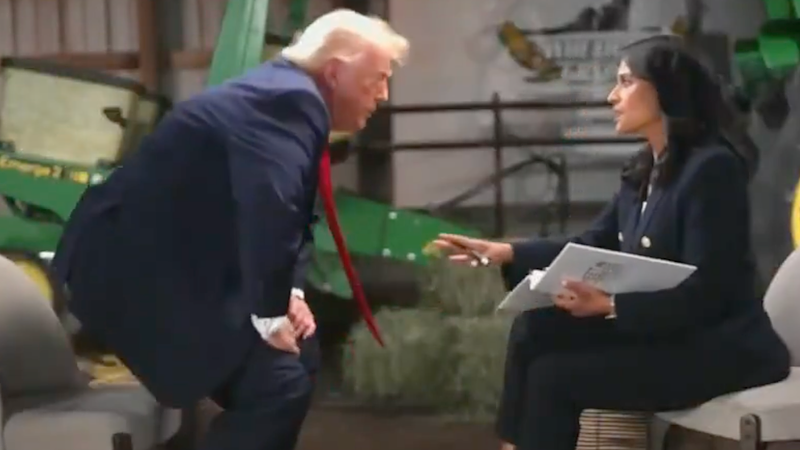 ‘Unhinged’: Trump storms out of NBC TV interview when pressed on false election claims