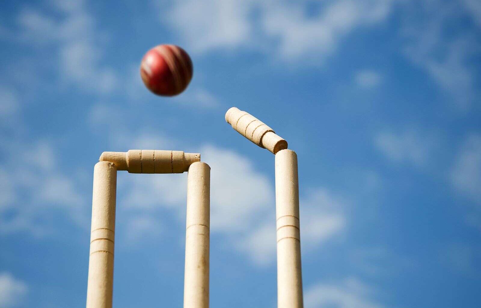 Cricket friendly to celebrate emergency services at gala day