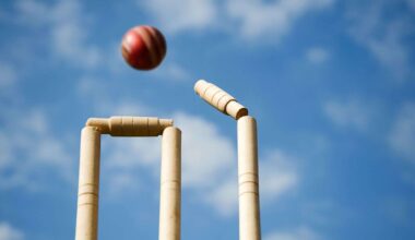 Cricket friendly to celebrate emergency services at gala day