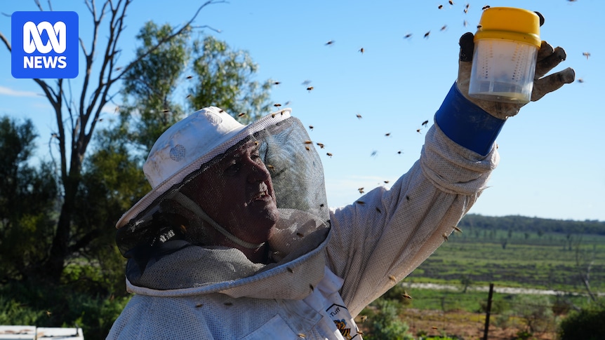 Beekeepers call for biopesticide known to target varroa mite to come to Australia