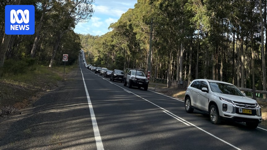 Two killed as two trucks and a car collide south of Nowra, driver airlifted to hospital