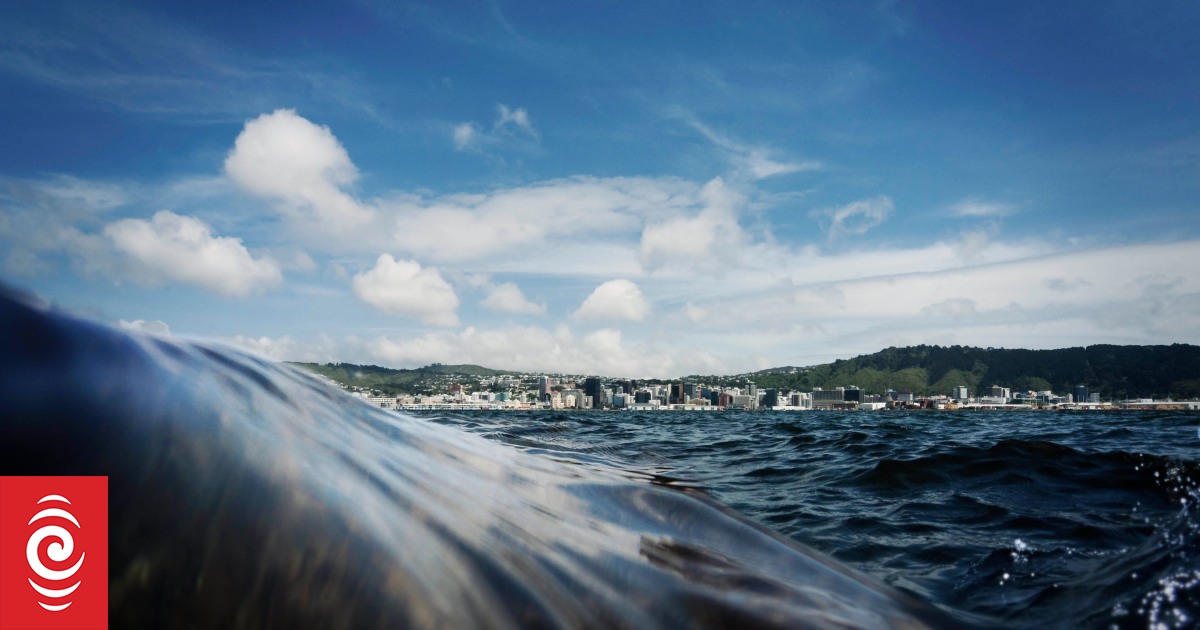 One-in-100-year coastal floods now happening twice a year in Wellington - study