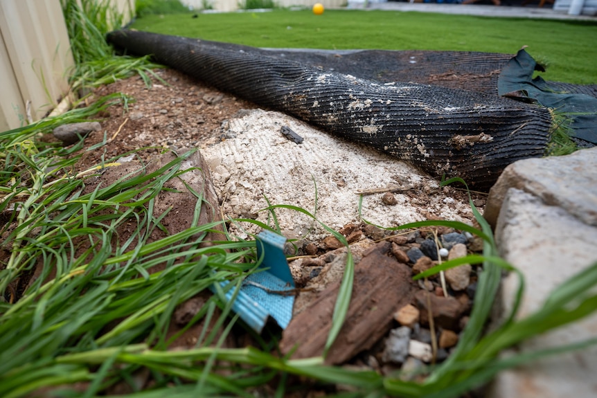 Lawn with weed plastic underneath rolled up to show rubble underneath