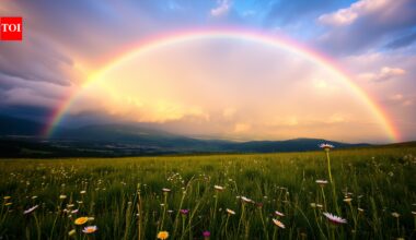 Why no two people ever see the same rainbow: The science behind this beautifaul illusion |