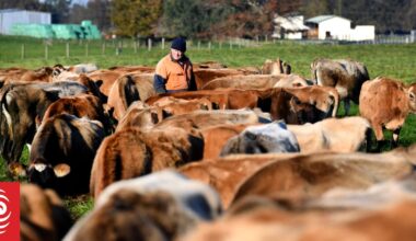 Dairy debt falls by almost $5 billion