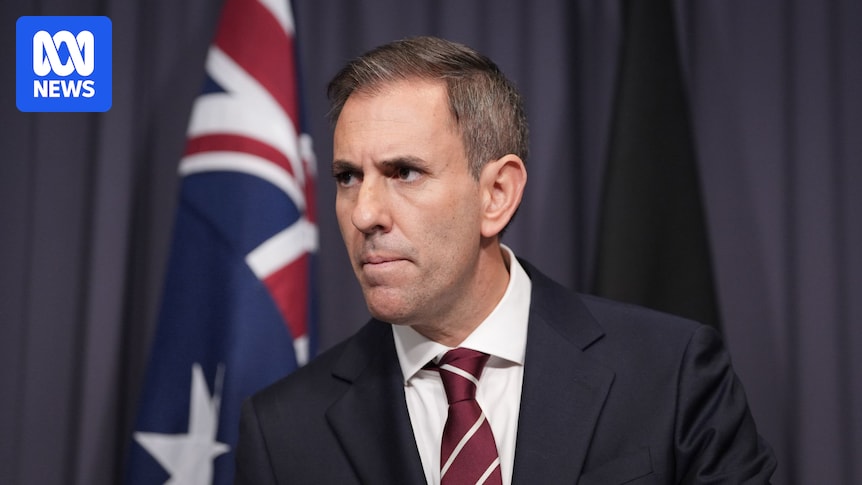 Australians face a 'binary choice' as One Nation soars, says Jim Chalmers