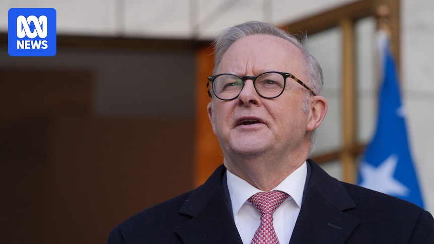 'Broken promise' or not, Anthony Albanese's tax decision has helped One Nation