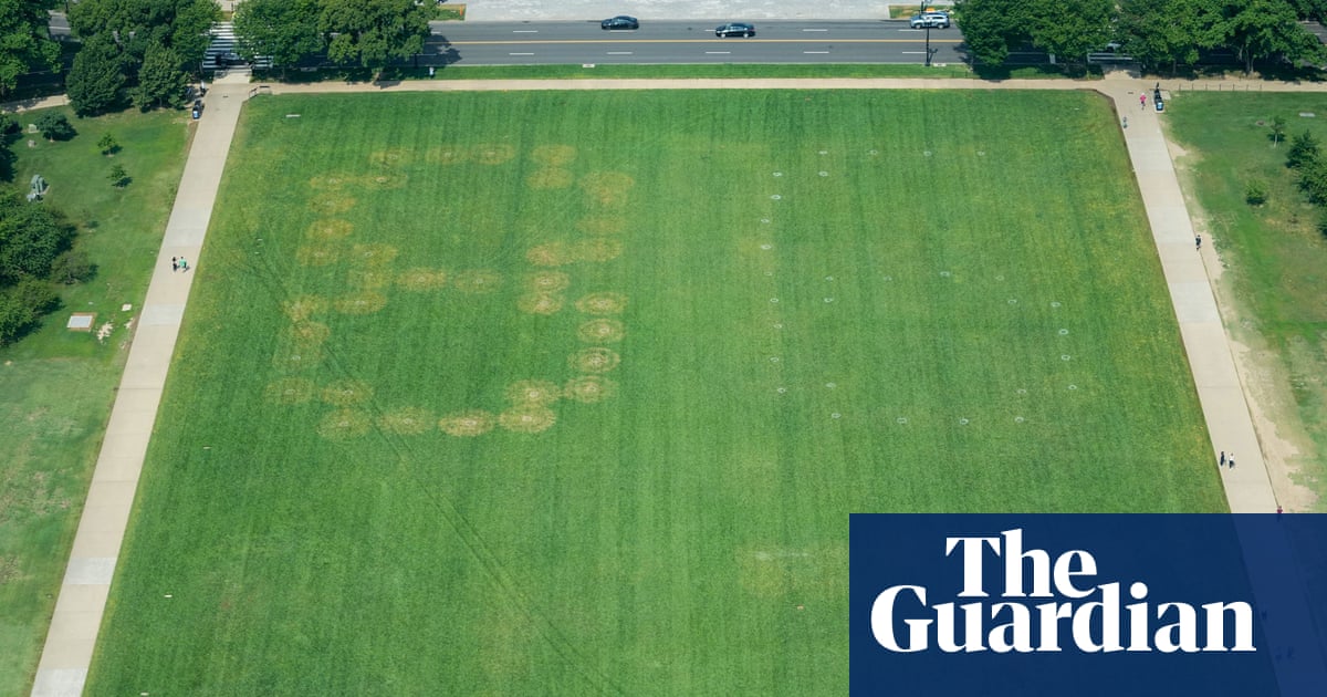 US authorities investigate huge etching of ‘8647’ on National Mall grounds | Washington DC