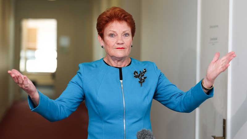 One Nation fundraising audit: Pauline Hanson scoffs at Anthony Albanese’s scepticism of ‘Fire the Liar’ campaign