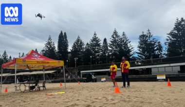 Drones patrol Coogee Beach after ban lifted as NSW government won't rule out shark culls