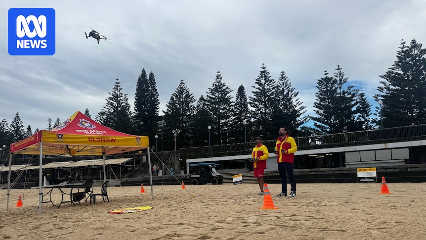 Drones patrol Coogee Beach after ban lifted as NSW government won't rule out shark culls