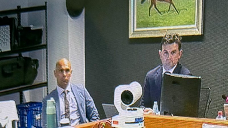 Ashley Klein gambling debt: NRL referee undertaking professional development at RacingNSW