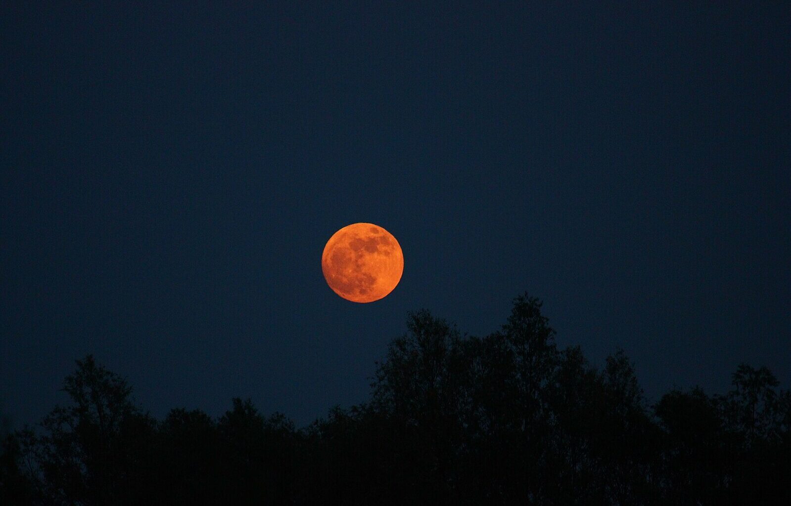 Melbourne's highest full moon of 2026 will shine above the city this month