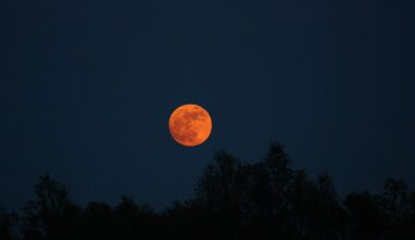 Melbourne's highest full moon of 2026 will shine above the city this month