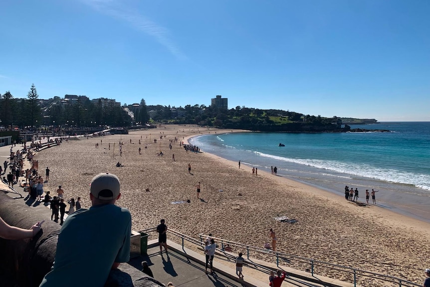 people at coogee beach after a shark attack