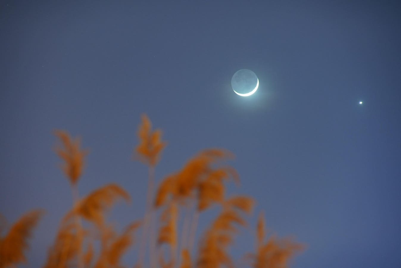 See A Crescent Moon Thread The Planets: The Night Sky This Week