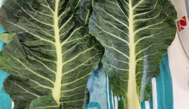Upcycling cauliflower waste into protein ingredients for future food