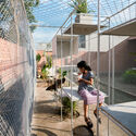 Chicken House / Tropical Space. Image © Quang Dam Designing for Chickens: Rethinking How Humans and Animals Share Space - Image 4 of 50