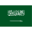 Saudi Arabia Team Logo