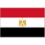 Egypt Team Logo