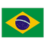 Brazil Team Logo