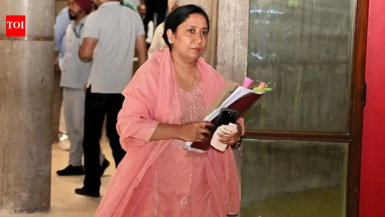 Rs 305cr released under pension scheme for widowed and destitute women: Minister | Chandigarh News