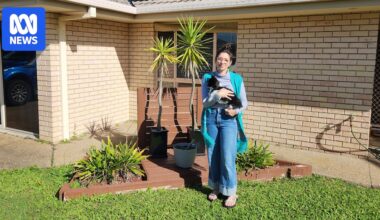 Queensland councils struggle to juggle rising costs with ratepayer squeeze