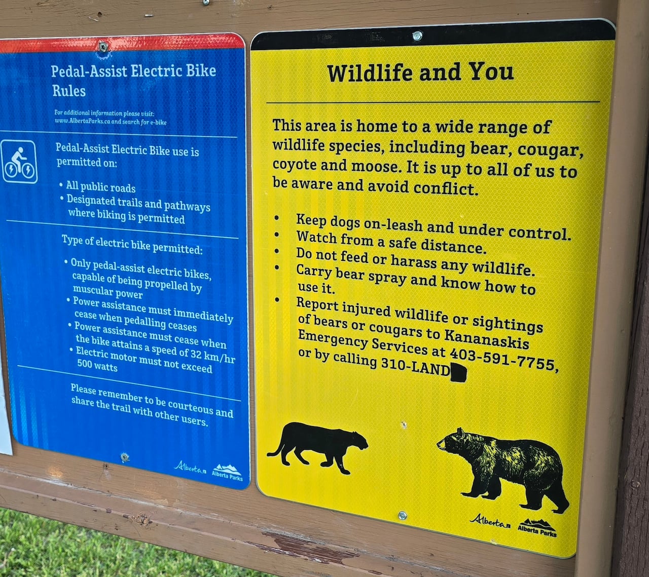 A sign depicting a bear and cougar.