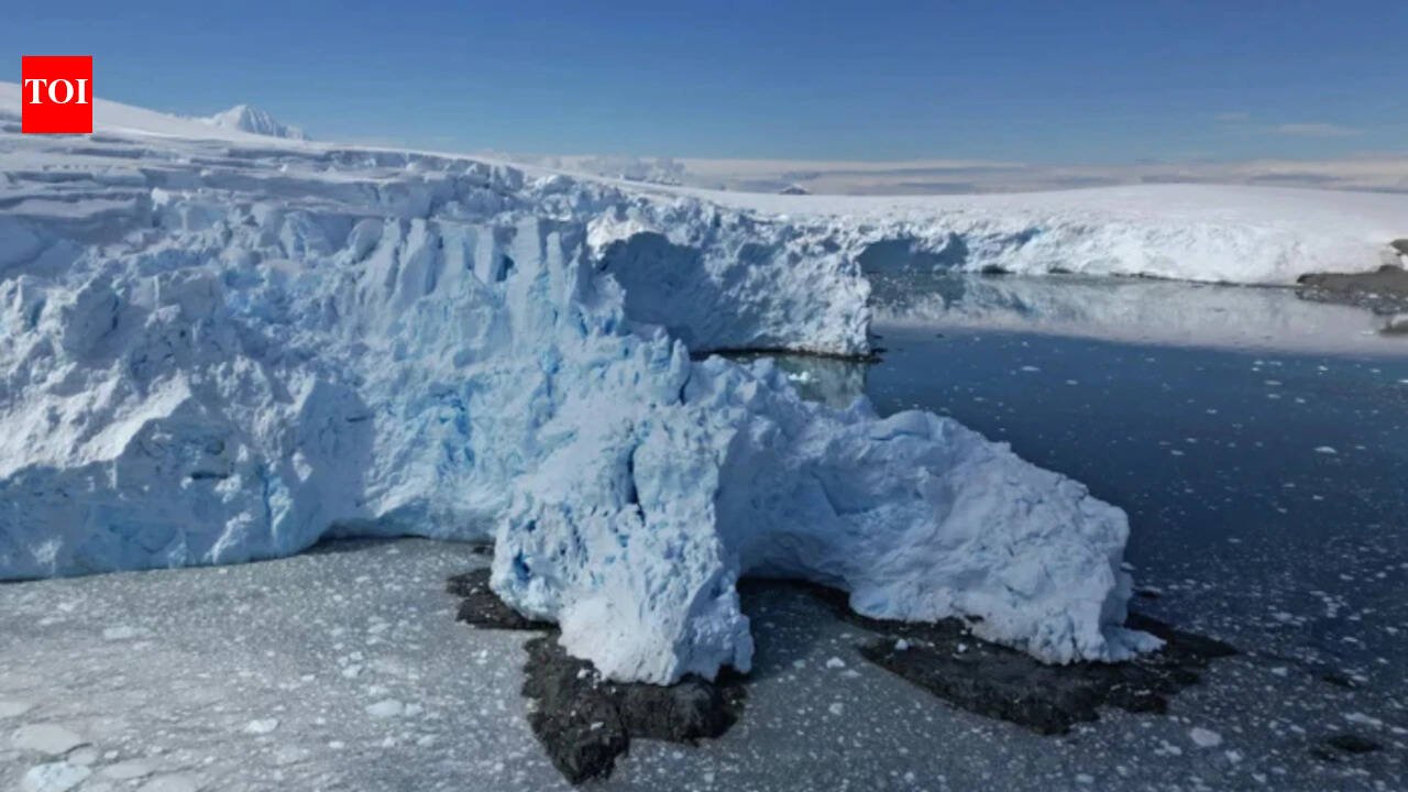 Antarctica’s 50-year warning: Scientists say the next few years will shape the future of the West Antarctic Ice Sheet