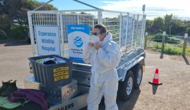 Agricultural sector braces for deadly bird flu threat