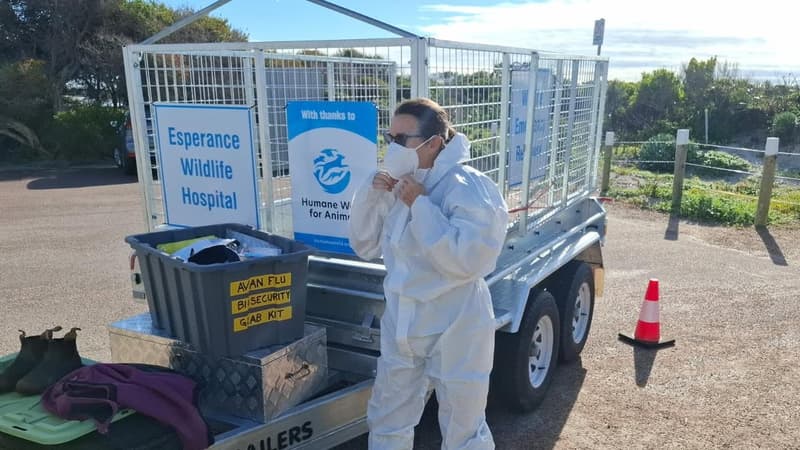 Agricultural sector braces for deadly bird flu threat