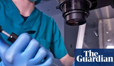 Most IVF ‘add-on’ treatments have no effect on fertility or remain unproven, study says | IVF