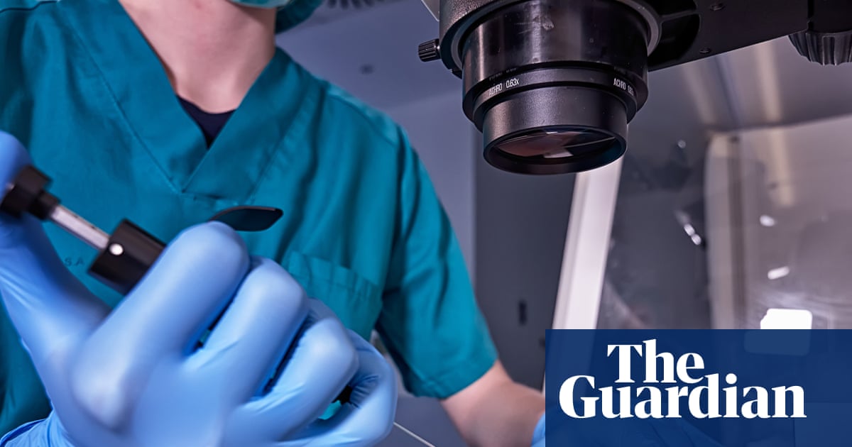 Most IVF ‘add-on’ treatments have no effect on fertility or remain unproven, study says | IVF