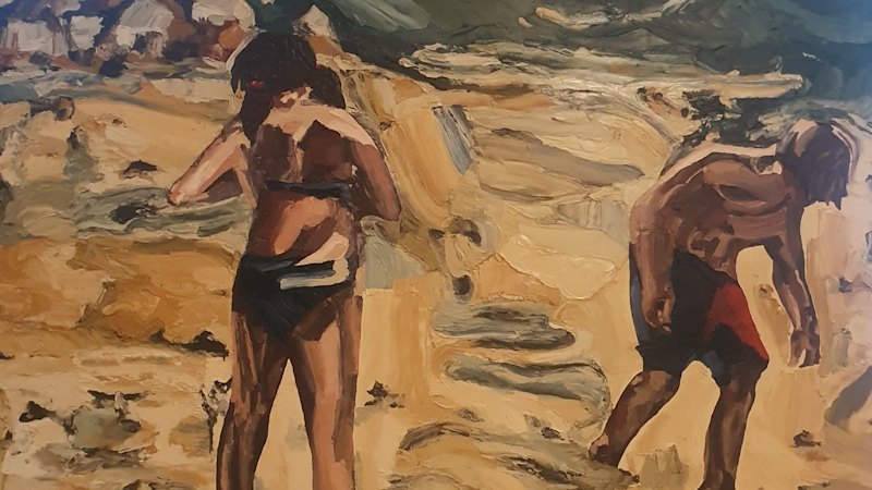 NSW artist Jane Allan accused of copying