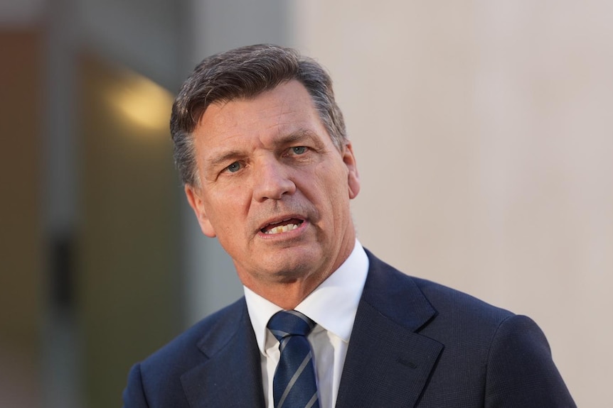 Opposition leader Angus Taylor wearing a suit and speaking at a press conference.
