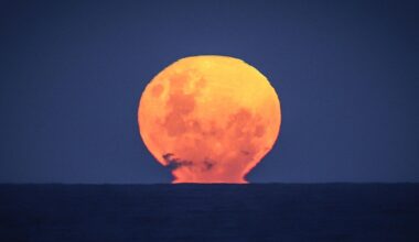 Full Moon June 2026: When To See The ‘Strawberry Moon’ Rise