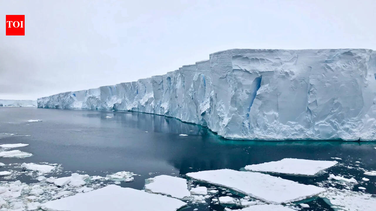 Thwaites Glacier: Antarctica’s ‘Doomsday Glacier’ is to ‘disintegrate’: Scientists warn the ice shelf could break apart — What does that mean for the future?