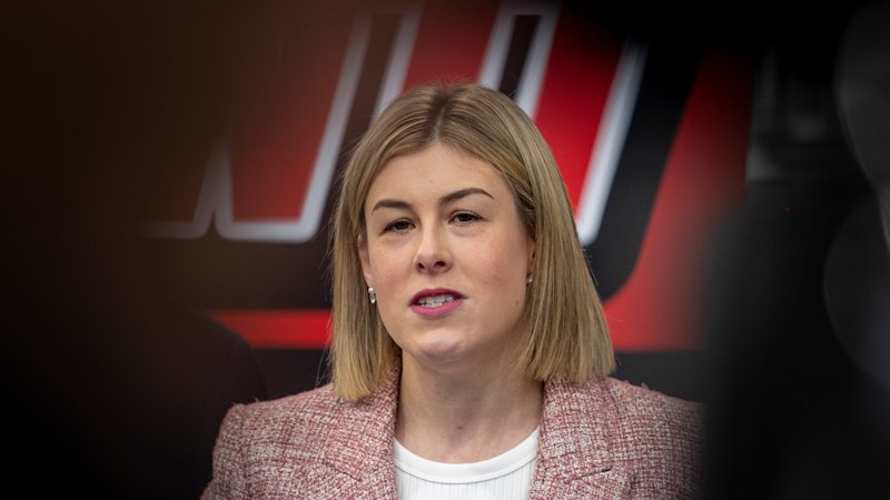 Jess Wilson fails to guarantee Moira Deeming’s future in Victorian Liberal Party after unfounded assault claim against Matthew Guy