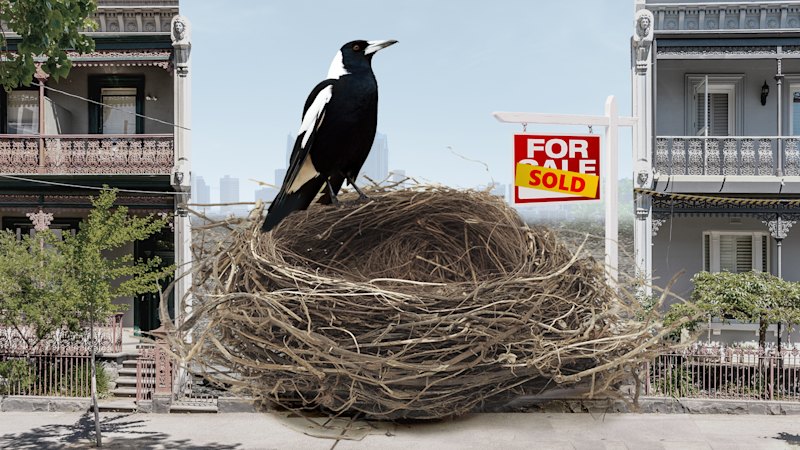 AFL 2026: Collingwood spends $4 million on property to house players and staff