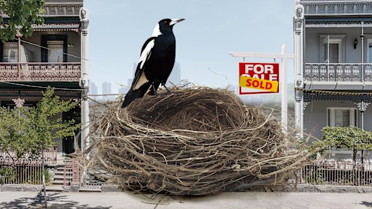 The Magpies have invested in property that they plan to rent to their own players and staff.