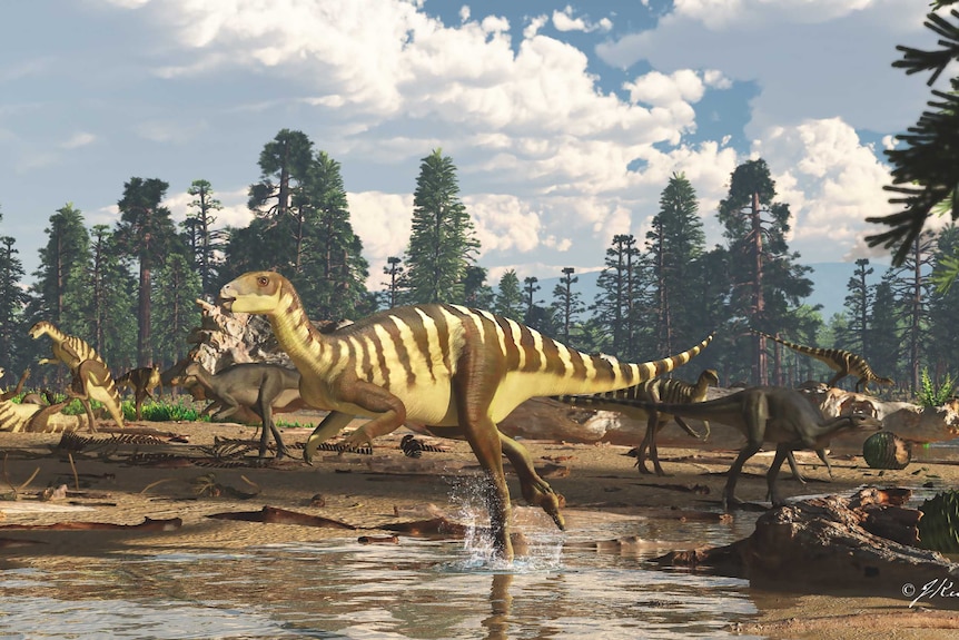 Artist's impression of Galleonosaurus dorisae dinosaur.