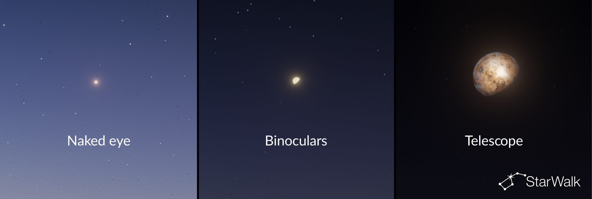 How Venus Looks Through Different Observing Tools