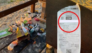 'Dumb enough to leave her name': Sunshine Coast litterbug makes key mistake
