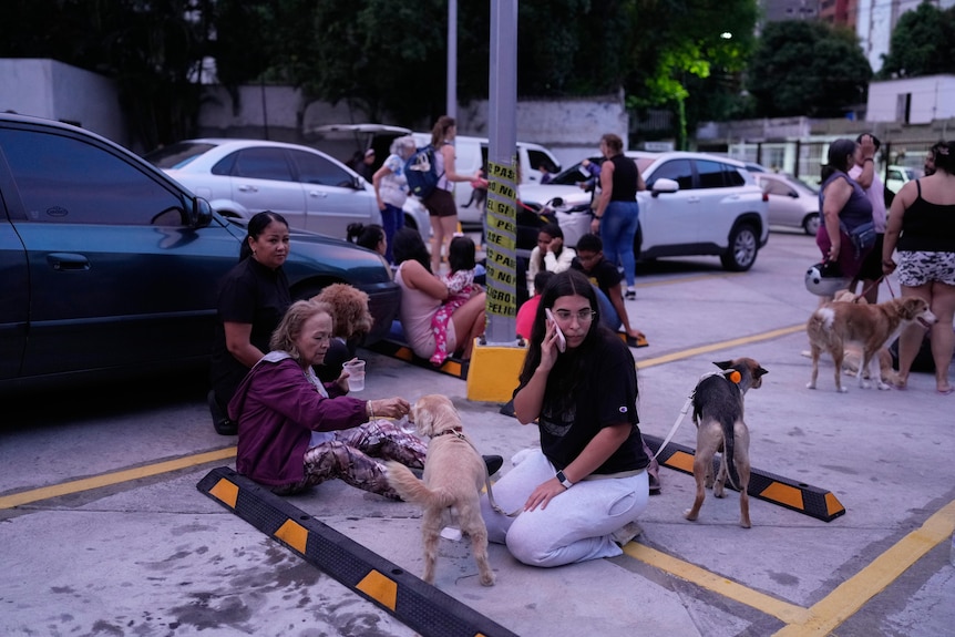 people on a sidewalk sitting with dogs on phones