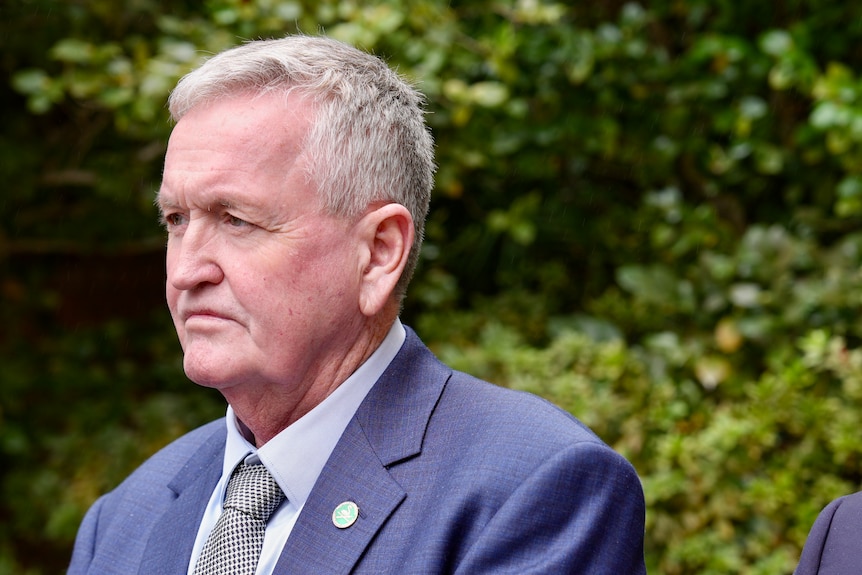A man in a suit stands behind a wall of garden