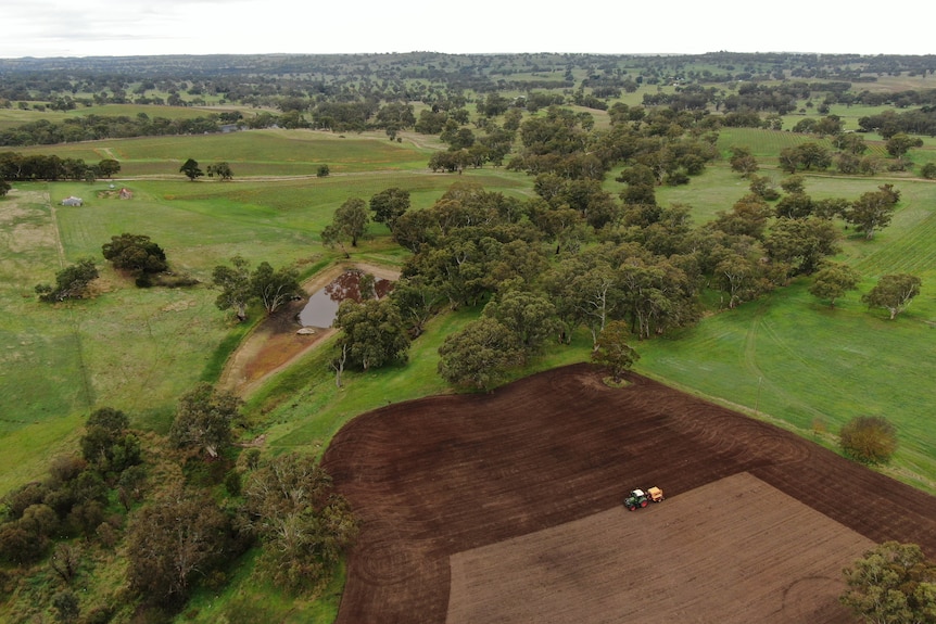 Aerial vision of barley fields.