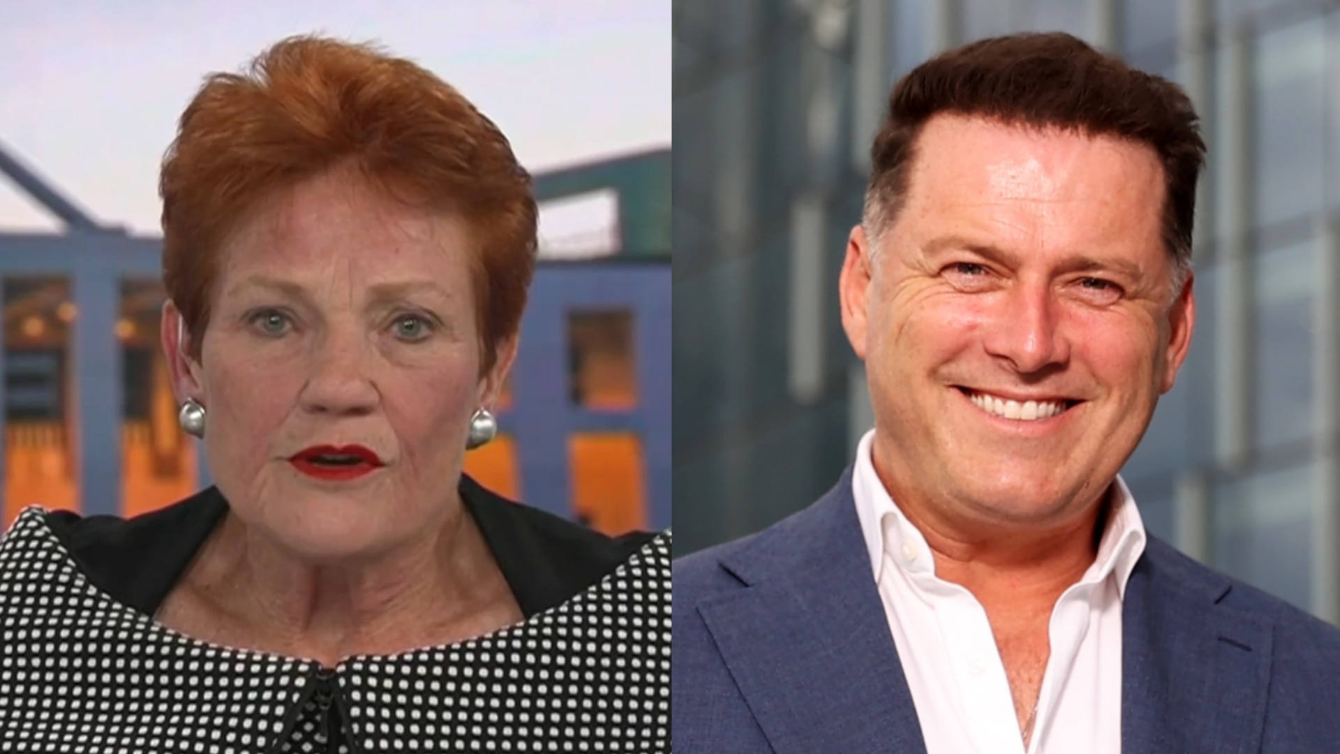 ‘Bloody stupid to do it’: Pauline Hanson backs Karl Stefanovic over sacking report