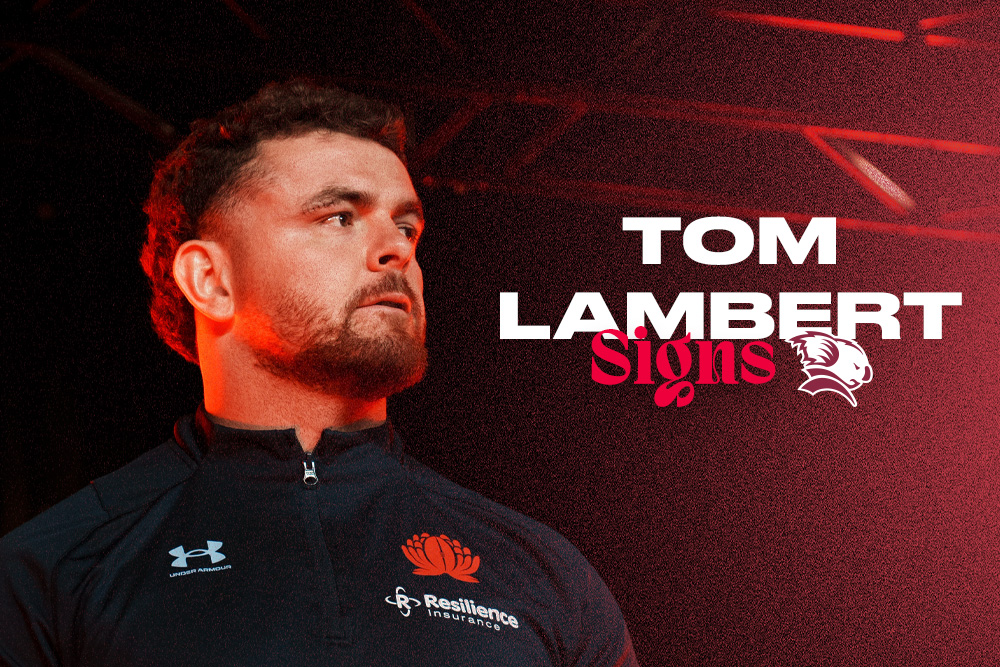 Queensland Reds Rugby