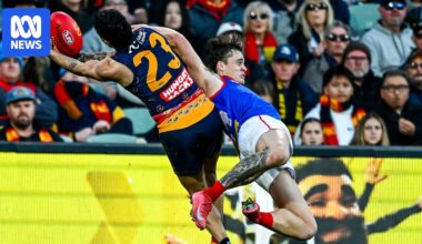 AFL Rd 15 live updates: Adelaide vs Melbourne, GWS vs Carlton, Collingwood vs Port Adelaide - blog, scores and stats
