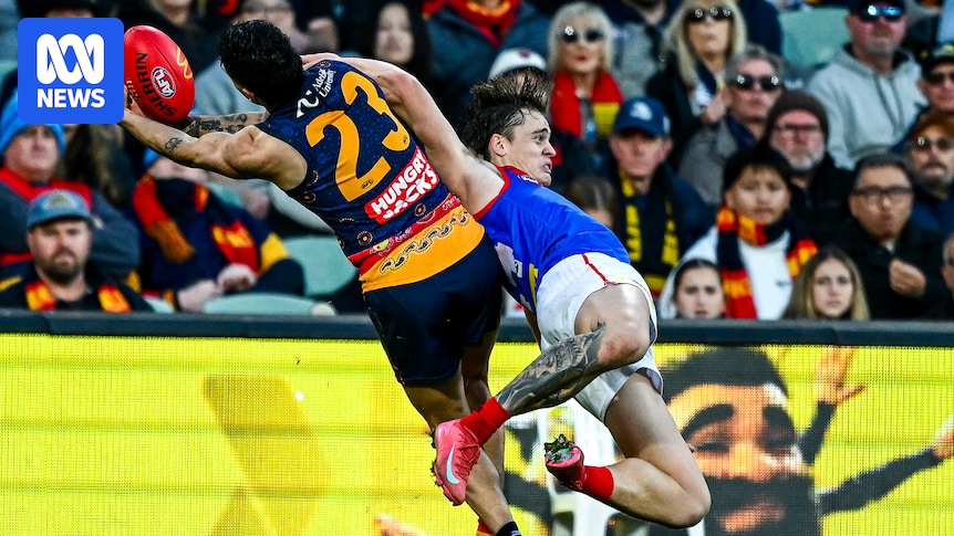 AFL Rd 15 live updates: Adelaide vs Melbourne, GWS vs Carlton, Collingwood vs Port Adelaide - blog, scores and stats